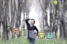 这是一片充满奇幻的魔法森林，据说走进此地的女子，笑起来真好看视频封面