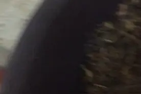 🌱🌱一年一度端午节，叫午時茶特别浓香，值得收藏色香味，多