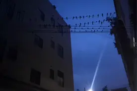 农村常说鸟屎落身 诸事不顺 ，还得讨百家米化解霉运，在广东怎办