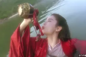 李连杰和林青霞