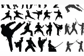 老李说武术-传统武术能不能打？