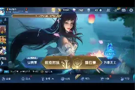 白起的星夜王子，这皮肤值不值？视频封面