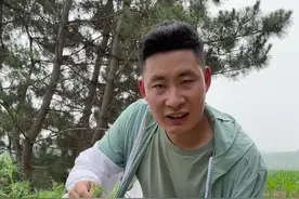 猪毛菜是我夏季吃过最好吃的野菜，比马齿苋还好吃，但就是瘦人不能多吃。#神奇的植物在哪里 #风滚草 #猪毛菜