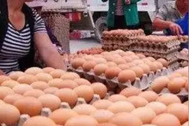 低保大叔：为你解答鸡蛋便宜的原因，大型养殖场鸡蛋成本一毛一个视频封面