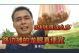 广州路边摊的龙眼8块钱得这么多，4块8一斤比超市便宜一半视频封面