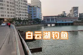 广州白云湖很多人钓鱼视频封面