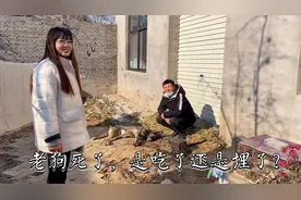 家里养了15年的老狗死了，老爸说把它吃掉，儿媳妇不干了，怎么办视频封面