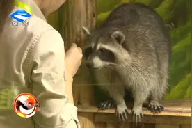 渝东北最大室内主题动物园落户万州视频封面