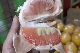 1000多斤江西特产广丰马家柚，都是三四斤一个，水分充足口感好！视频封面