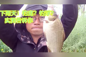 野钓：雨天钓底好还是钓浮好！野外实钓测试告诉你视频封面