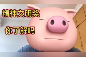 体制内朋友们，精神文明奖你了解吗？视频封面