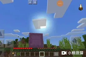 我的世界很少见的4d皮肤。