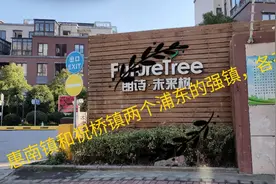 上海惠南镇和祝桥镇两个浦东的强镇，各有千秋视频封面