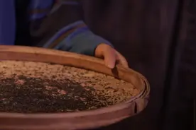 中国品牌档案，南方黑芝麻糊，中国糊类产品第一品牌！视频封面