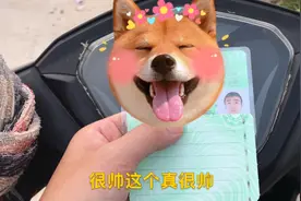 33天c1驾照拿到手，科一到科四关关一次过，别吝啬你的赞美，夸我视频封面