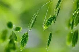 35分钟早晨轻音乐，收藏起来，每天早上带给你好心情！