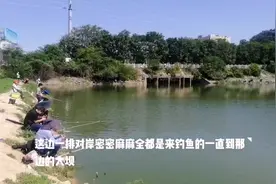 周日去东莞长安马尾水库野钓人多鱼也多视频封面