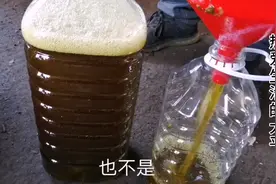 颜色发绿的花生油，是假的吗？大平带大家一探究竟！