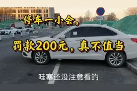 马路两边千万不要随便停车，稍微不注意就会违章，这些车都中招了视频封面