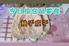 柚子吃完柚子皮千万别扔哦！可以给仓鼠做零食吃！视频封面