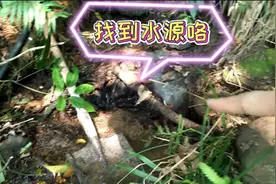 找了大半天，终于找到水源了。在山上没有砖头，怎么砌过滤池呢！视频封面