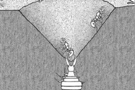 发现了小时候玩的倒退虫，又叫沙牛、倒土、倒行狗、土行孙，蚁狮