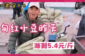 红小豆价格连续三年上涨。进来看原因。来年能稳定吗？视频封面
