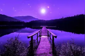 日本音樂-魅惑のムード歌謡