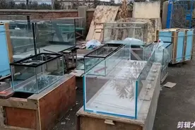 打卡29天，说一下至纯超白和其他玻璃的区别