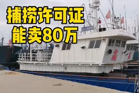 渔船行业揭秘：一张渔业捕捞许可证，竟然能卖到80万视频封面