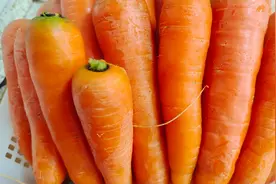 原来保存胡萝卜是有诀窍的，教你一招，放上一冬天不软不烂视频封面