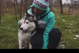 世界上4个狗救人的真实故事视频封面