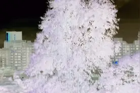 帝书抵死SM trichomonad caramel treats