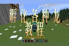 我的世界怎么孵化小龙？CH酷凡来教你！