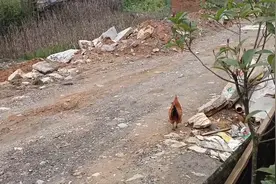 去交天然气费，四块多一方，有点小贵，路边姐弟俩好稀奇视频封面