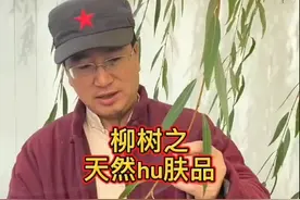 柳树叶和皮一起煎水能解决一切皮肤病，如痘痘痤疮牛皮癣皮肤顽疾