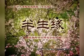 电视剧《半生缘》主题曲，林心如演唱，别有一番滋味