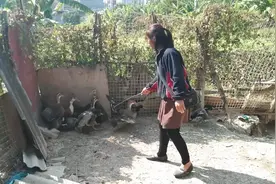 今天去乡下买鸭子，老板娘抓鸭的方法好特别，以前都没见过