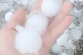 吉林榆树突遭冰雹袭击 鸡蛋大冰雹漫天砸下 田里玉米秧似全被砸折视频封面