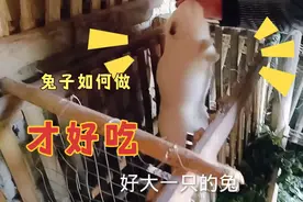 十几斤一个兔子怎么做才好吃