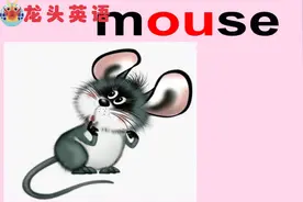 龙头英语：字母组合ou 和ow的发音，快学起来吧!