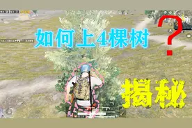 和平精英揭秘真相05：研究所一个位置能上4颗树，敌人只能干瞪眼