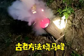 最古老的烧马蜂方法
