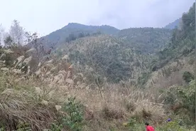 这里荒无人烟的地方是湖南怀化通道县和广西桂林龙胜县交界处。视频封面