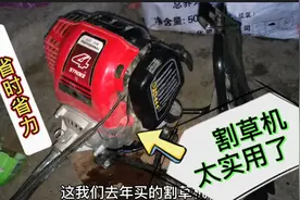 割草机的使用方法和维护方法 使用割草机的注意事项视频封面