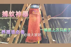 夏季养殖场必备的捕蚊神器，一晚可抓上万只，可惜用迟了