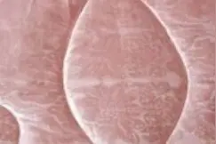 小伙竟然在新婚现场背着女友。视频封面
