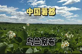 中国最大的马铃薯产区在哪？从山药蛋认识薯都乌兰察布。视频封面