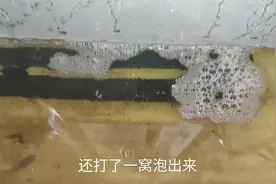 这期主要讲下，我的斗鱼得了水霉病怎么治疗，用什么方法