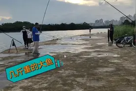 万泉河，顶级的户外钓鱼圣地，要钻草丛才能进去，与世隔绝了